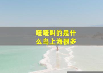 喳喳叫的是什么鸟上海很多