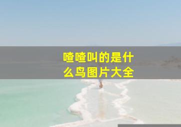 喳喳叫的是什么鸟图片大全