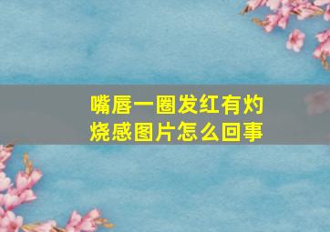 嘴唇一圈发红有灼烧感图片怎么回事