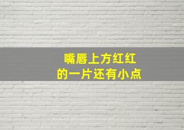 嘴唇上方红红的一片还有小点