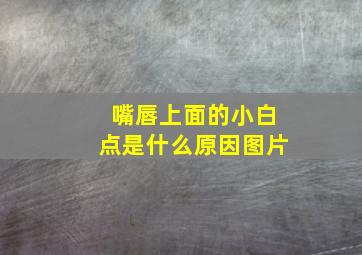 嘴唇上面的小白点是什么原因图片