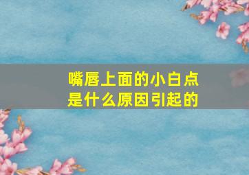 嘴唇上面的小白点是什么原因引起的