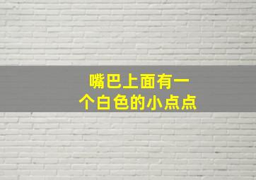 嘴巴上面有一个白色的小点点