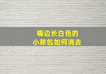 嘴边长白色的小脓包如何消去