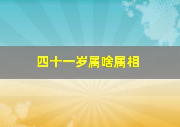 四十一岁属啥属相