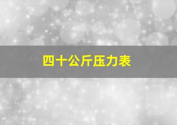 四十公斤压力表