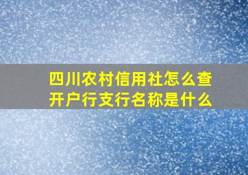 四川农村信用社怎么查开户行支行名称是什么