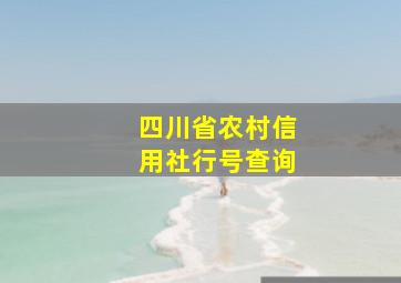 四川省农村信用社行号查询