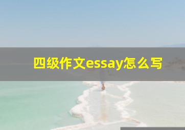 四级作文essay怎么写