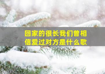 回家的很长我们曾相信爱过对方是什么歌