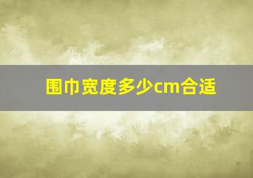 围巾宽度多少cm合适