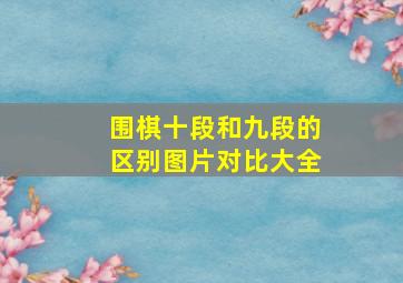 围棋十段和九段的区别图片对比大全