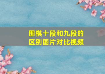 围棋十段和九段的区别图片对比视频