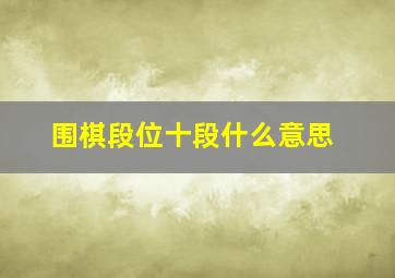 围棋段位十段什么意思