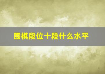 围棋段位十段什么水平