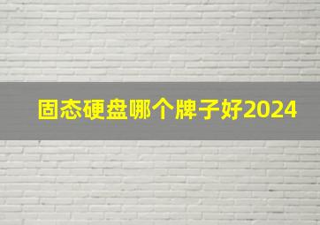 固态硬盘哪个牌子好2024