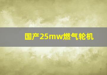 国产25mw燃气轮机