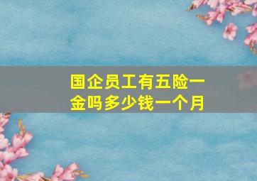 国企员工有五险一金吗多少钱一个月