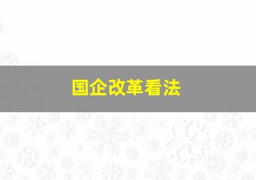 国企改革看法