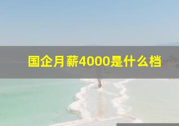 国企月薪4000是什么档