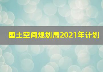 国土空间规划局2021年计划