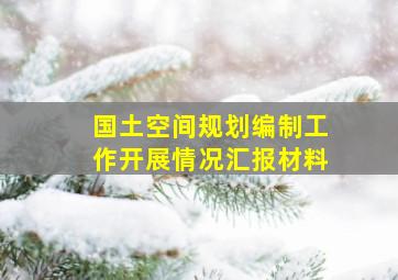 国土空间规划编制工作开展情况汇报材料