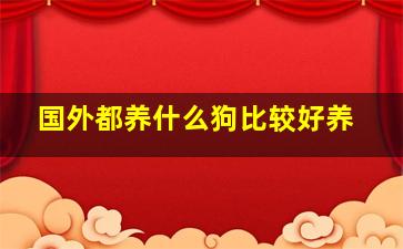 国外都养什么狗比较好养