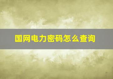 国网电力密码怎么查询