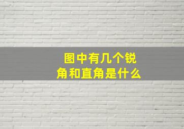 图中有几个锐角和直角是什么