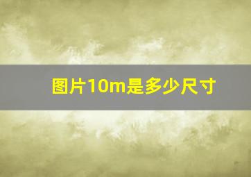 图片10m是多少尺寸