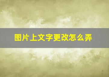 图片上文字更改怎么弄