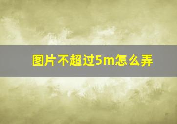 图片不超过5m怎么弄