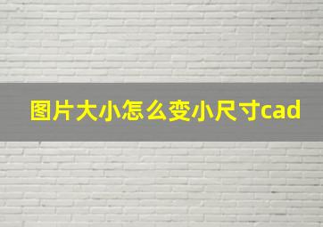 图片大小怎么变小尺寸cad