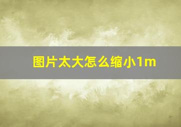 图片太大怎么缩小1m