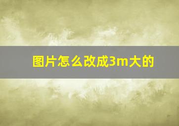 图片怎么改成3m大的