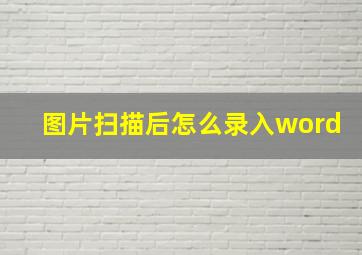 图片扫描后怎么录入word