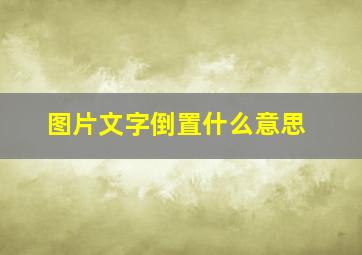 图片文字倒置什么意思