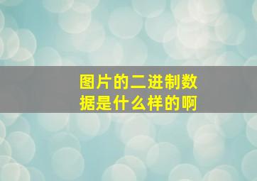 图片的二进制数据是什么样的啊