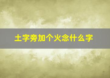 土字旁加个火念什么字