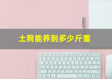 土狗能养到多少斤重