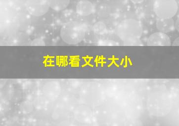 在哪看文件大小