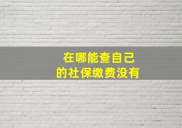 在哪能查自己的社保缴费没有