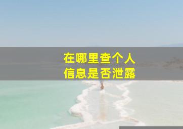 在哪里查个人信息是否泄露