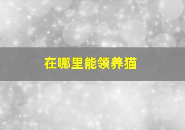 在哪里能领养猫