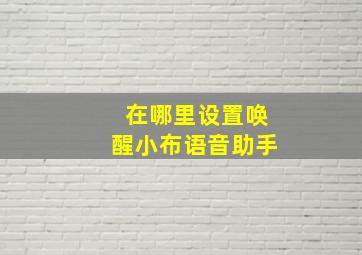 在哪里设置唤醒小布语音助手