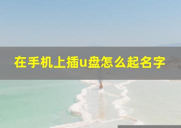 在手机上插u盘怎么起名字