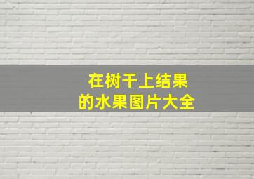 在树干上结果的水果图片大全