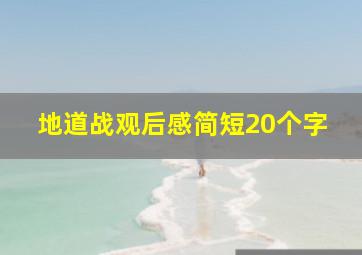 地道战观后感简短20个字