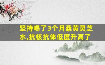 坚持喝了3个月桑黄灵芝水,抗核抗体低度升高了