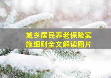 城乡居民养老保险实施细则全文解读图片